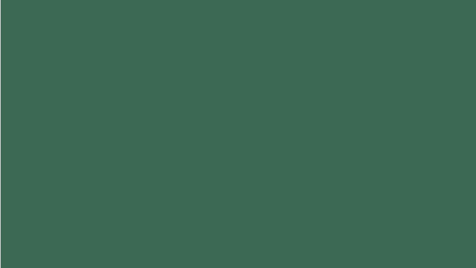 Bags & Accessories banner bg