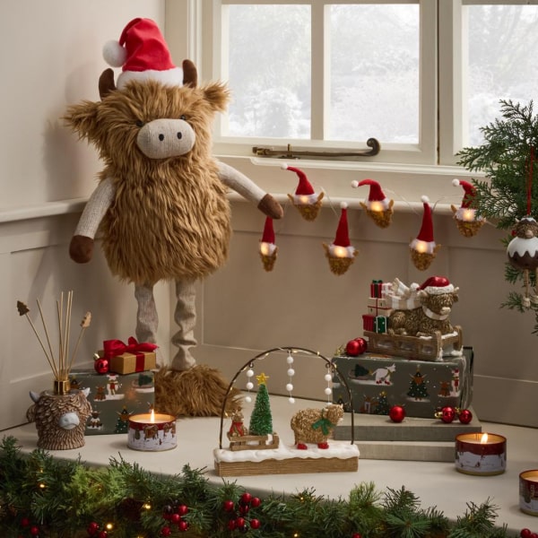 HAMISH AT CHRISTMAS